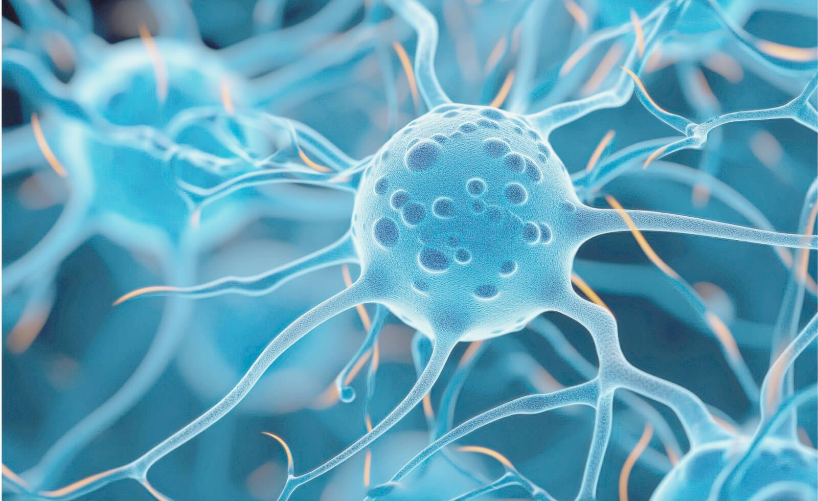 Oncology research
